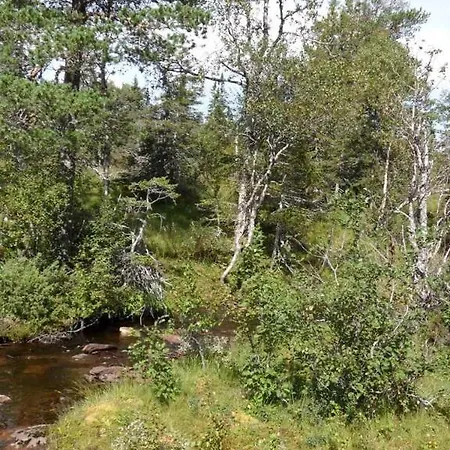 Casa vacanze Svartbakken Hytter Snåsa