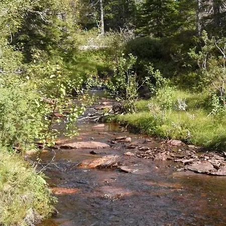 Svartbakken Hytter