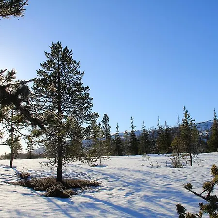 Casa vacanze Svartbakken Hytter *