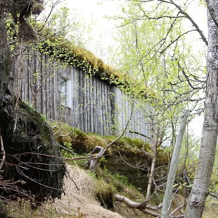 Svartbakken Hytter * Snåsa