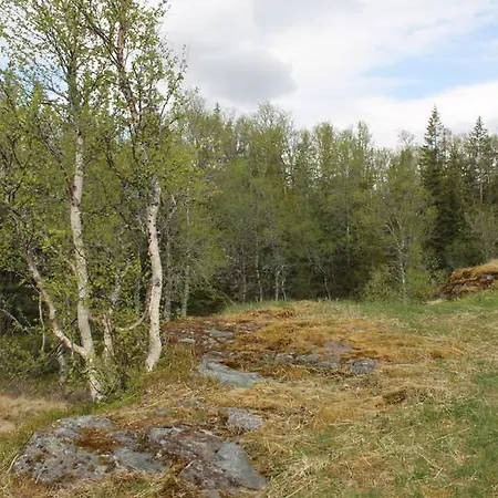 Casa vacanze Svartbakken Hytter