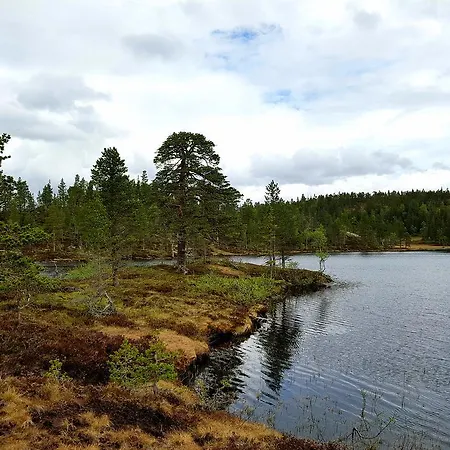 Svartbakken Hytter Casa vacanze Snåsa